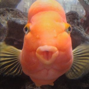 Please Read ☝️☝️☝️☝️☝️☝️☝️